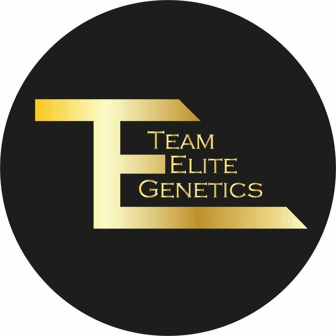 TEAM ELITE