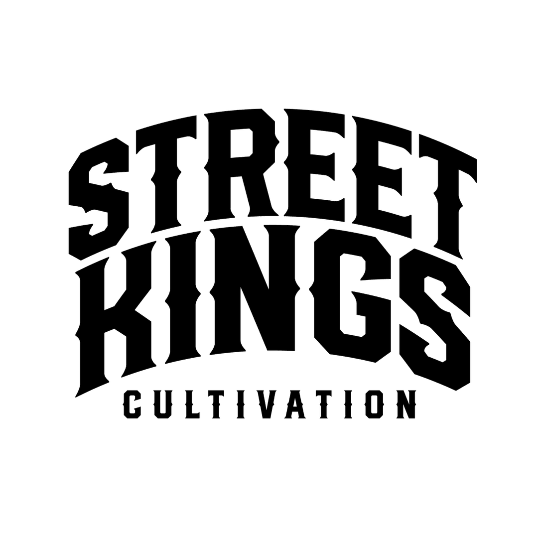 STREET KINGS LOGO